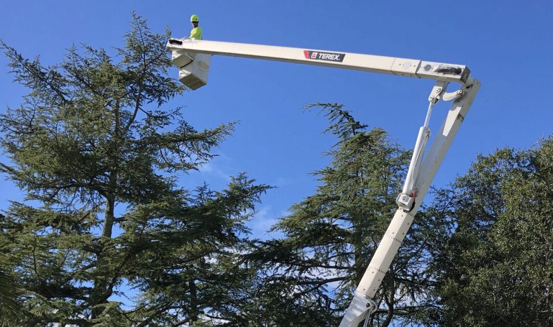 tree service truck boom truck with bucket