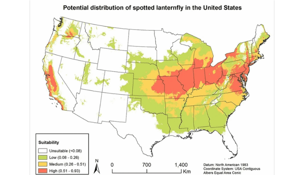 potential lanternfly distribution map