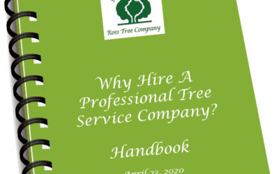 Why Hire a Professional Tree Service Company?