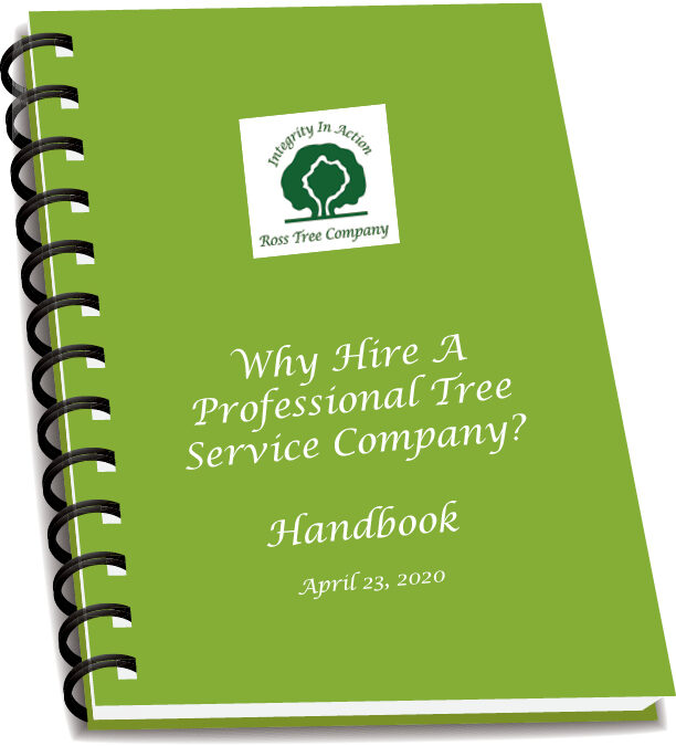 Why Hire a Professional Tree Service Company?