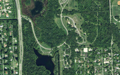 Tree Canopy Management