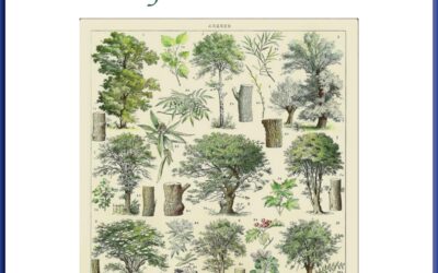 Elm Leaf Pests Handbook