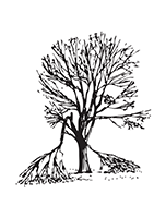 restorative pruning