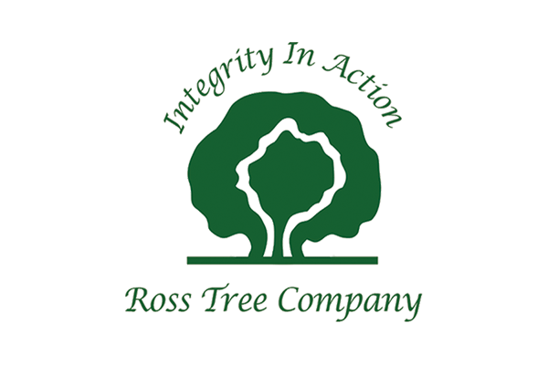 professional-tree-service-company professional tree service company