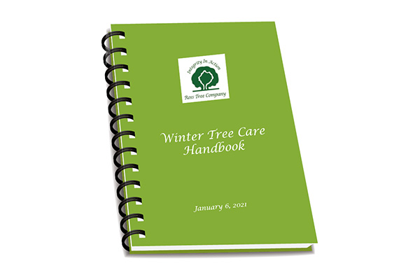 winter-tree-care-in-englewood winter tree care in Englewood