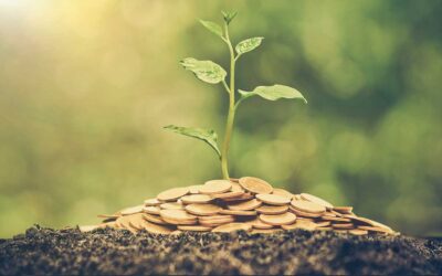 Tree Care Makes Good Economic Sense