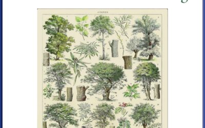 Standards Based Pruning Handbook