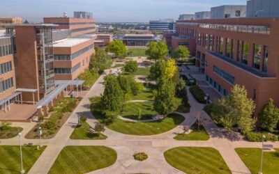Commercial Tree Services