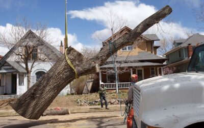 Large Tree Service Job Handbook
