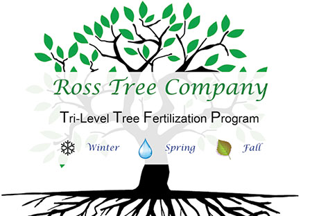 tri-level-watering Ross Tree Tri-level Tree Fertilization program