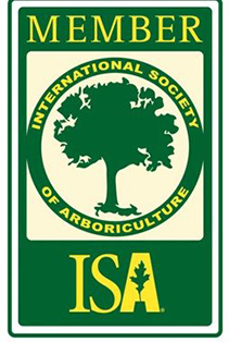 ISA-member-logo ISA Member