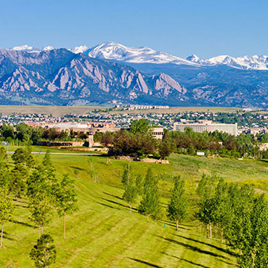 Broomfield tree and plant service company