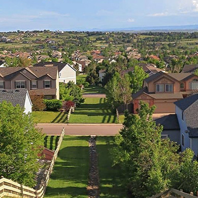 Centennial tree and plant service company