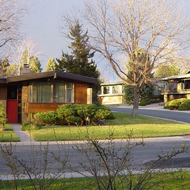Englewood tree and plant service company