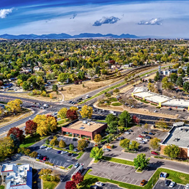 Lakewood tree and plant service company