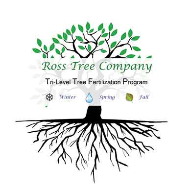Ross Tree Tri-level Tree Fertilization Program Denver main